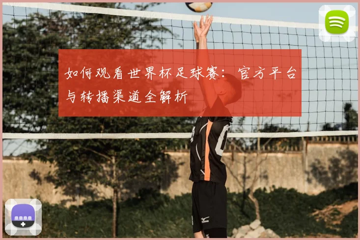 如何观看世界杯足球赛:官方平台与转播渠道全解析