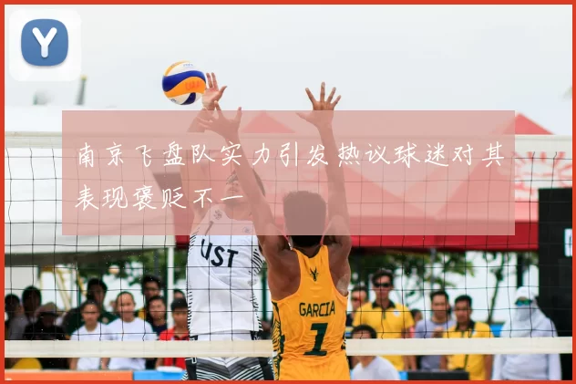 南京飞盘队实力引发热议球迷对其表现褒贬不一