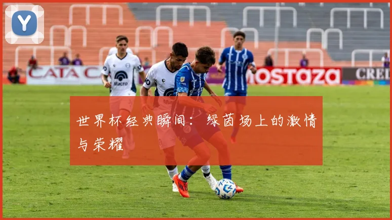 世界杯经典瞬间：绿茵场上的激情与荣耀