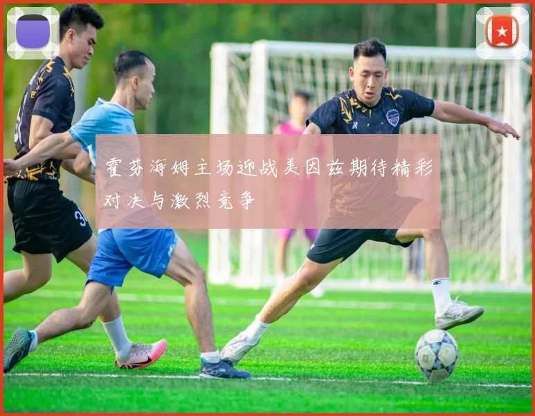 霍芬海姆主场迎战美因兹期待精彩对决与激烈竞争
