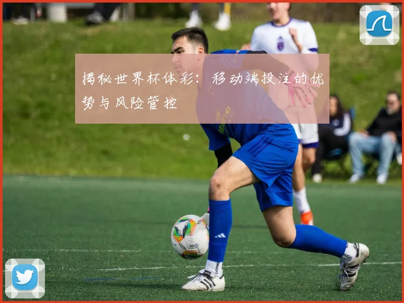 揭秘世界杯体彩:移动端投注的优势与风险管控