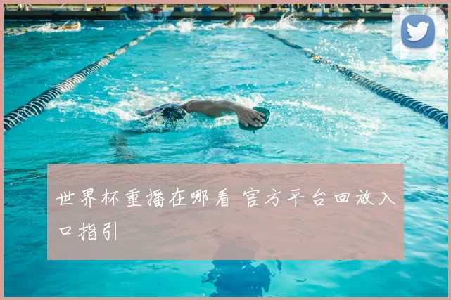 世界杯重播在哪看 官方平台回放入口指引