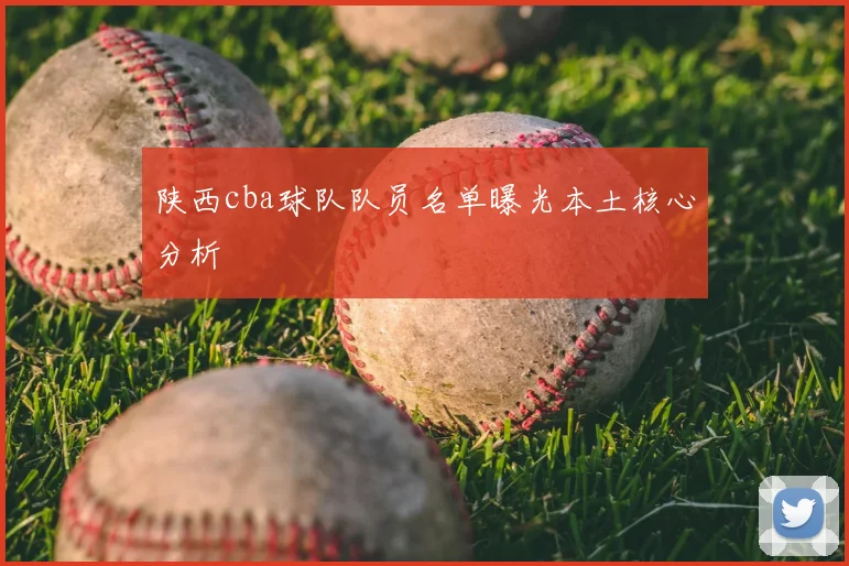 陕西cba球队队员名单曝光本土核心分析