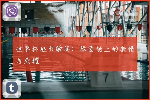 世界杯经典瞬间:绿茵场上的激情与荣耀