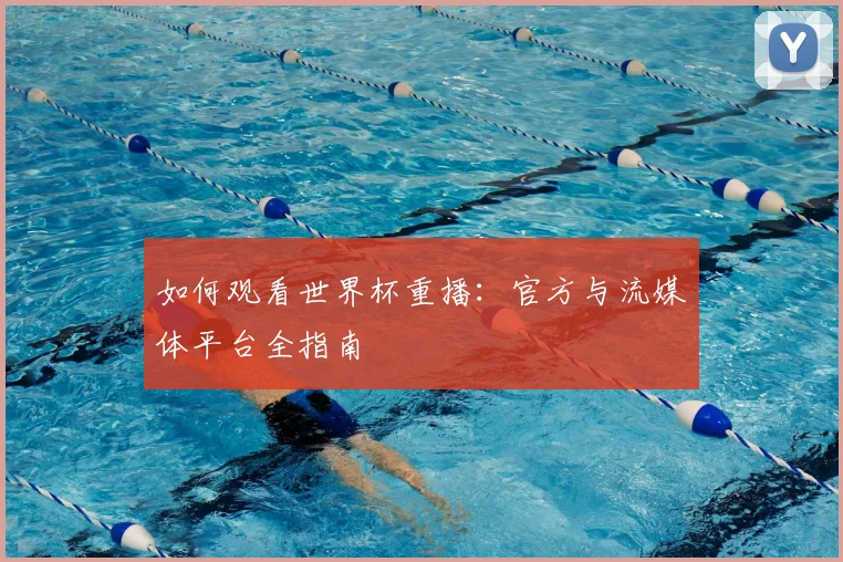 如何观看世界杯重播:官方与流媒体平台全指南