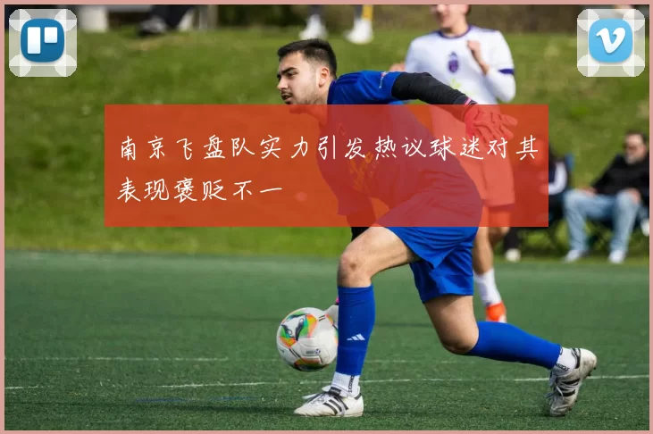 南京飞盘队实力引发热议球迷对其表现褒贬不一