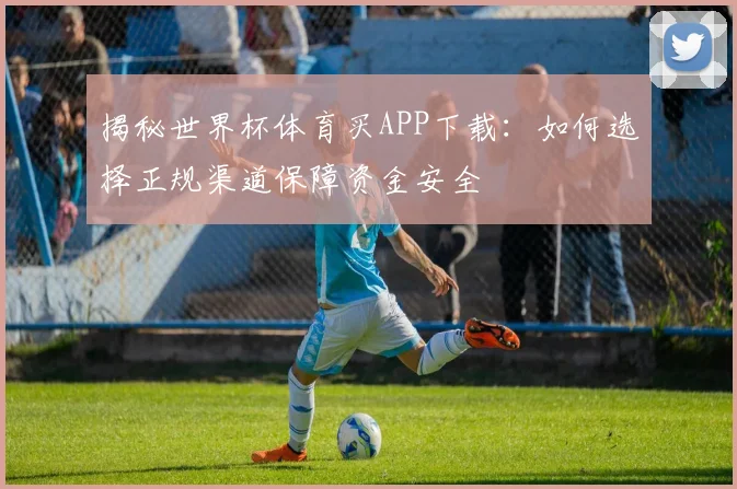 揭秘世界杯体育买APP下载:如何选择正规渠道保障资金安全