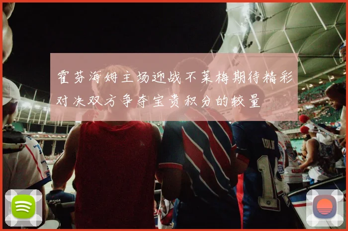 霍芬海姆主场迎战不莱梅期待精彩对决双方争夺宝贵积分的较量