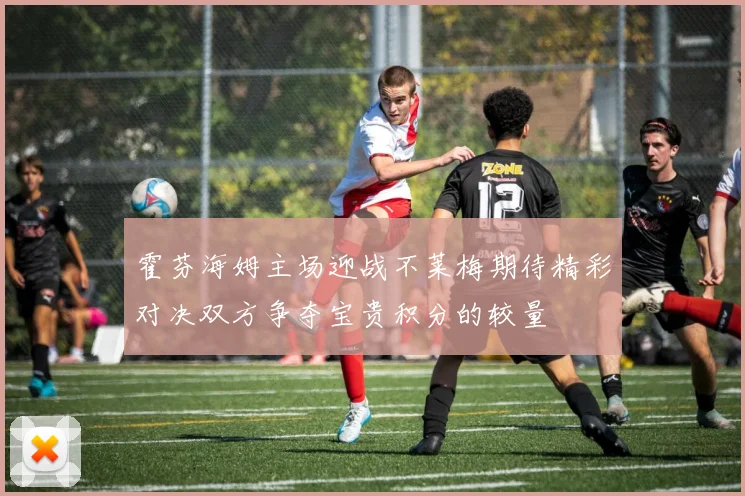 霍芬海姆主场迎战不莱梅期待精彩对决双方争夺宝贵积分的较量