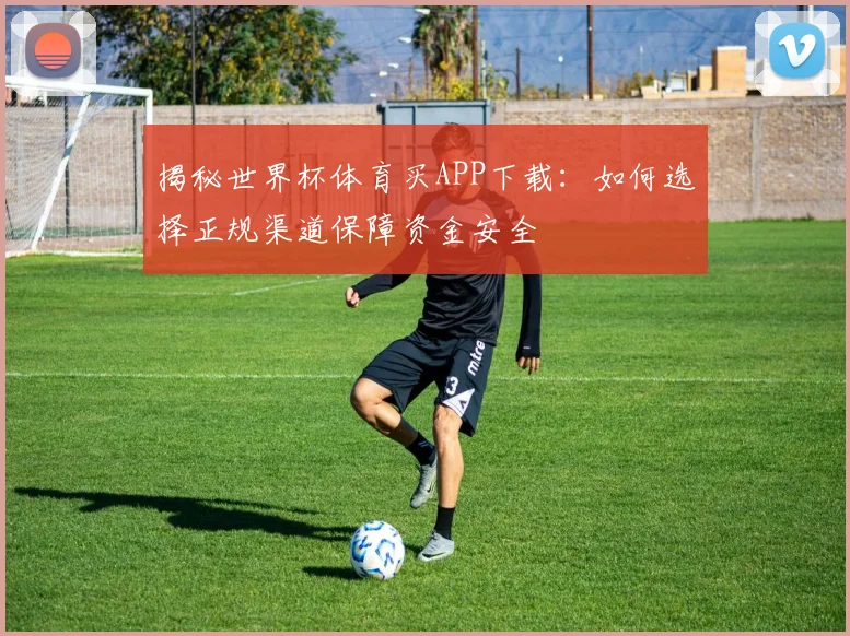 揭秘世界杯体育买APP下载：如何选择正规渠道保障资金安全